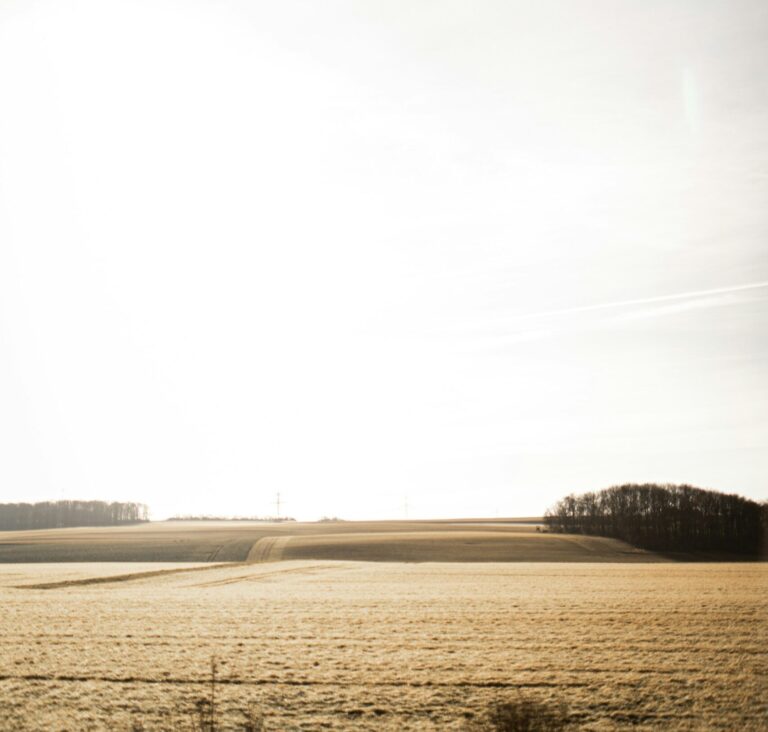 kaja-reichardt-xtFUy10amDs-unsplash