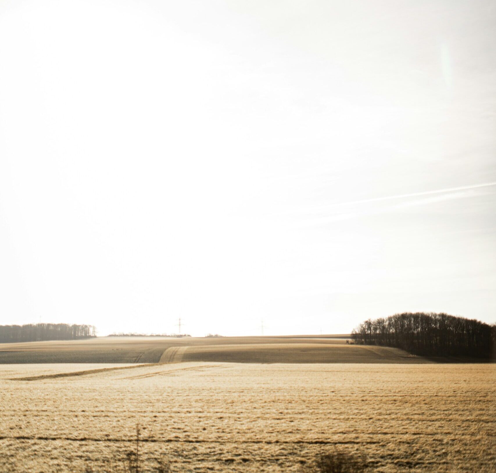 kaja-reichardt-xtFUy10amDs-unsplash