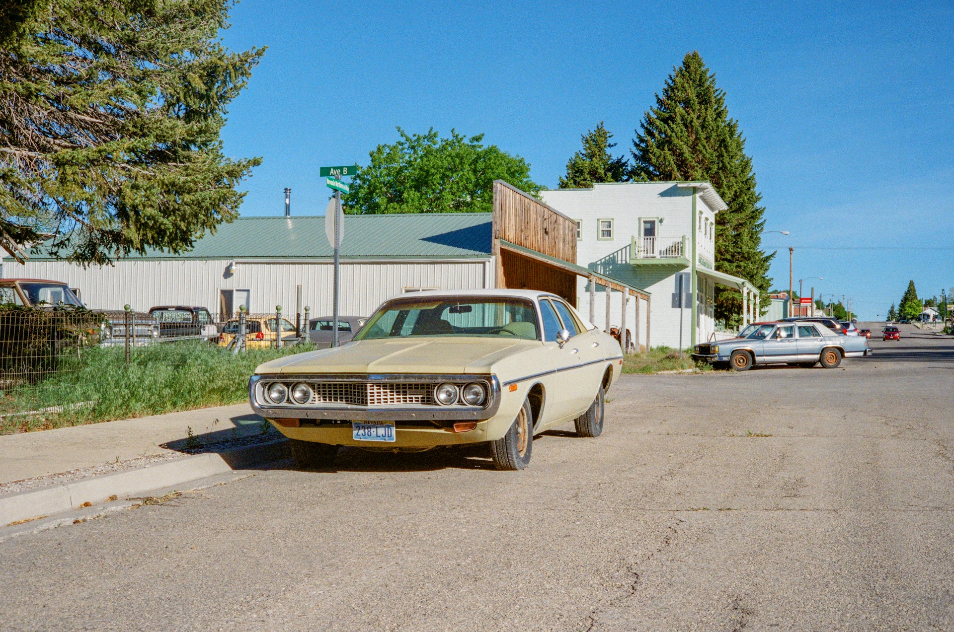 nikola-duza-YWWvvQZQSwU-unsplash