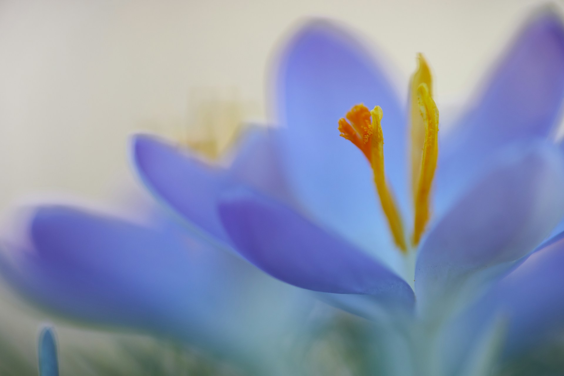 wolfgang-hasselmann-kBvP_uZs7o4-unsplash